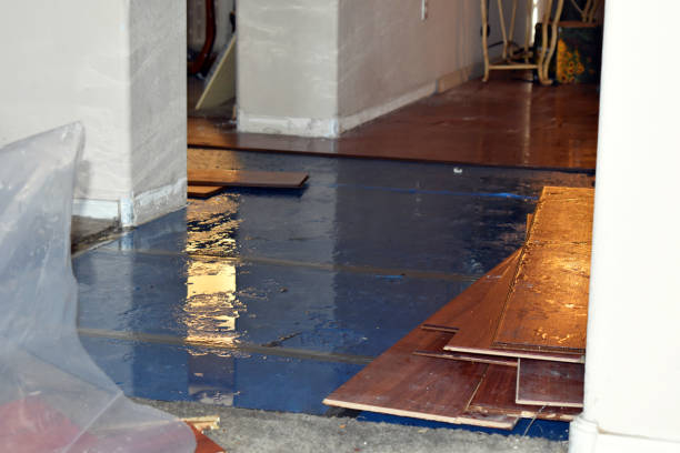 Professional Burst Pipe Cleanup technician working in Burlington, OH